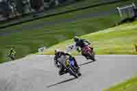 cadwell-no-limits-trackday;cadwell-park;cadwell-park-photographs;cadwell-trackday-photographs;enduro-digital-images;event-digital-images;eventdigitalimages;no-limits-trackdays;peter-wileman-photography;racing-digital-images;trackday-digital-images;trackday-photos
